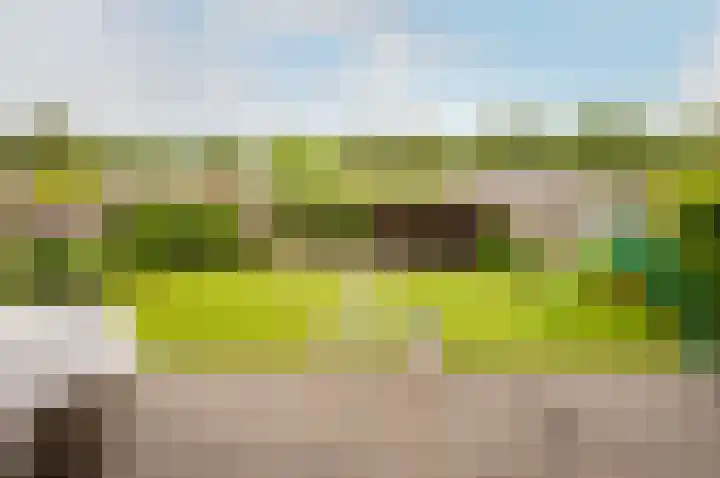Troffel 20 Dronten thumbnail 54