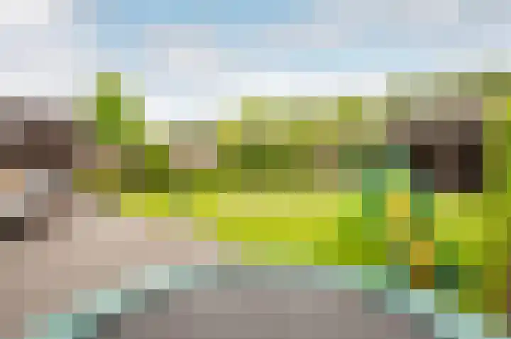 Troffel 20 Dronten thumbnail 55