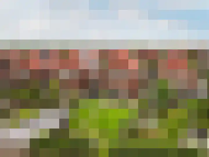 Troffel 20 Dronten thumbnail 58