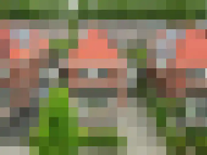 Troffel 20 Dronten thumbnail 59