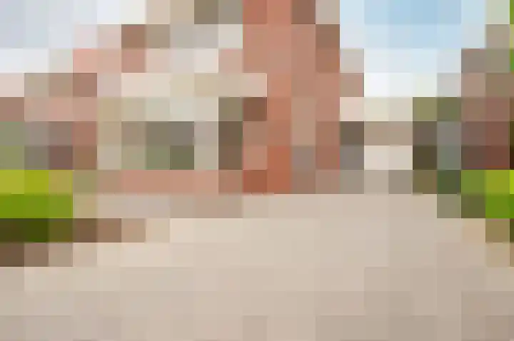 Troffel 20 Dronten thumbnail 6