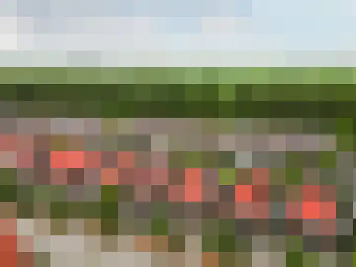 Troffel 20 Dronten thumbnail 60