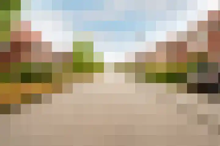 Troffel 20 Dronten thumbnail 61
