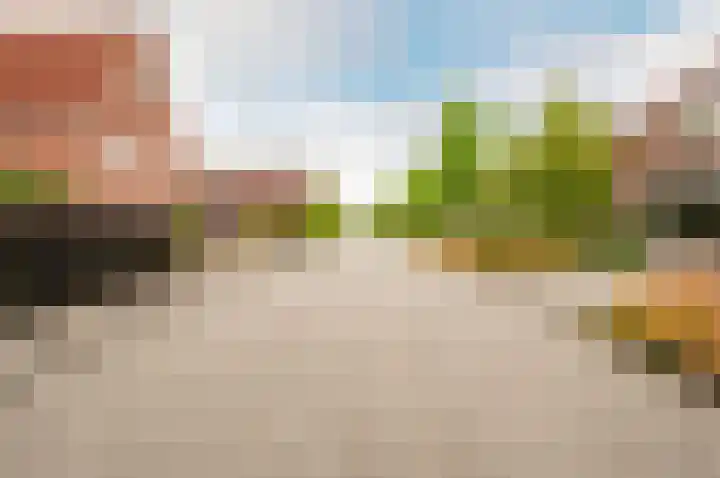 Troffel 20 Dronten thumbnail 62