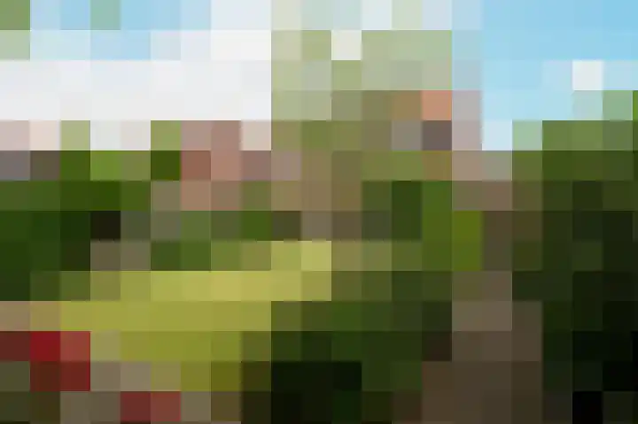 Troffel 23 Dronten foto 3