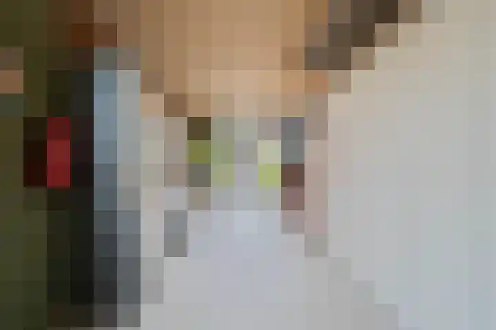 Troffel 23 Dronten thumbnail 6