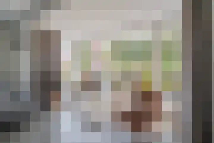 Troffel 26 Dronten thumbnail 12