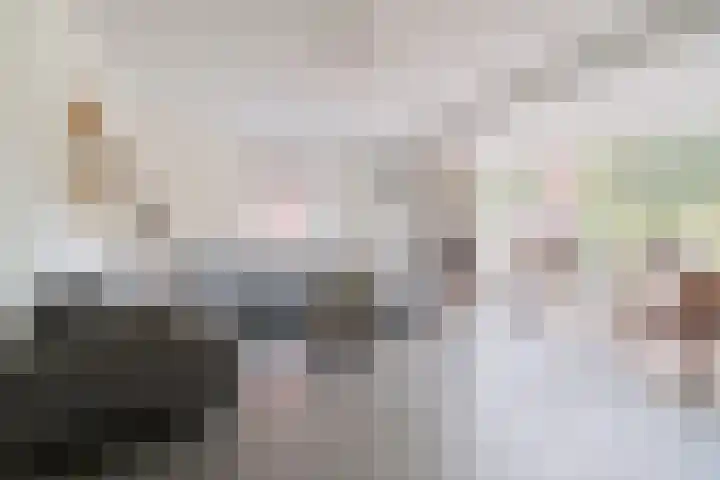 Troffel 26 Dronten thumbnail 13