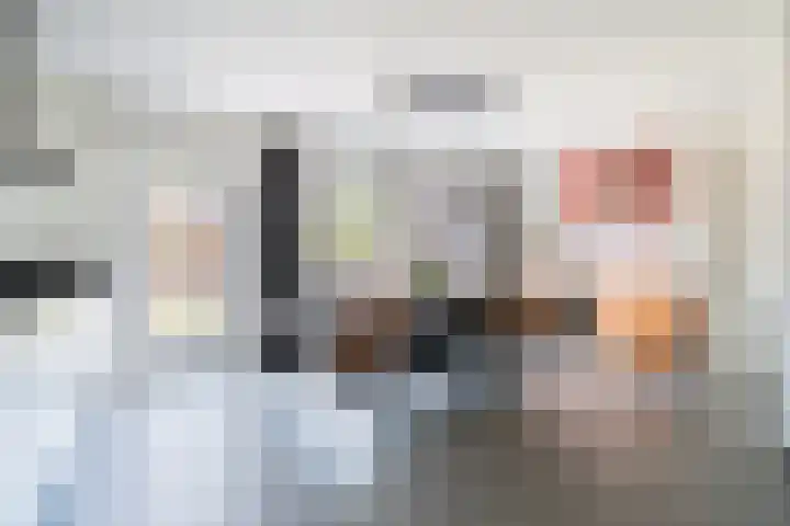 Troffel 26 Dronten thumbnail 15