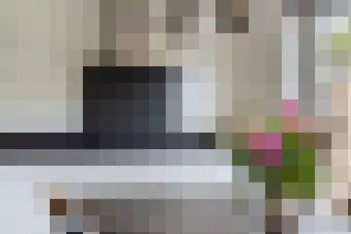Troffel 26 Dronten thumbnail 19