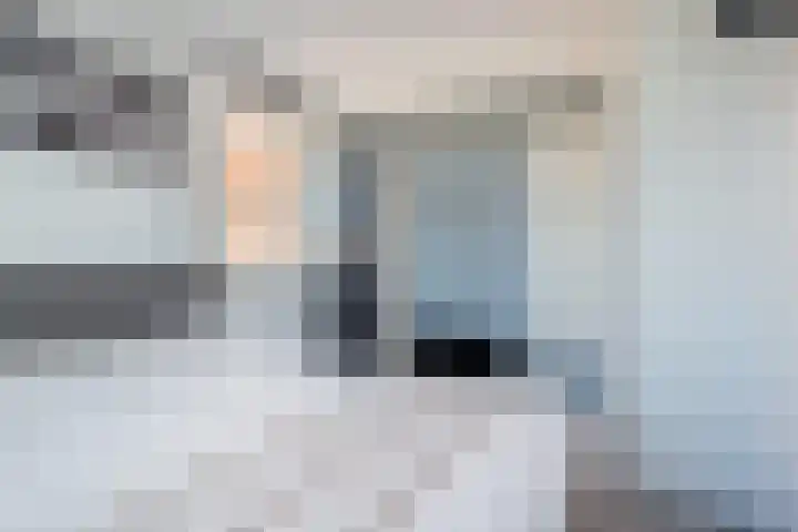 Troffel 26 Dronten thumbnail 30
