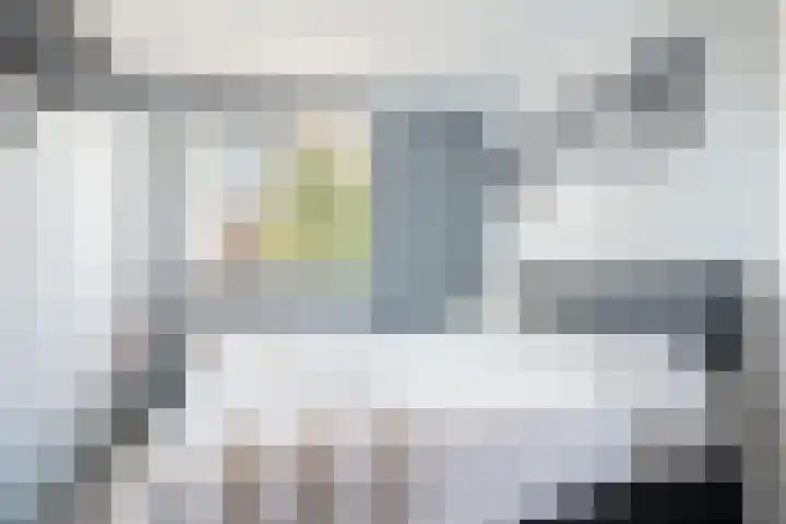 Troffel 26 Dronten thumbnail 31