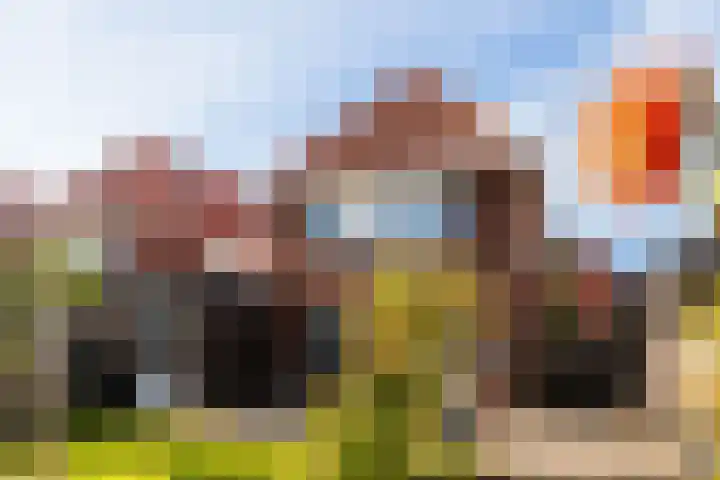 Troffel 26 Dronten thumbnail 34