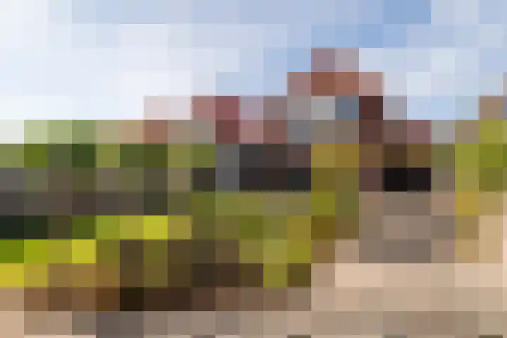 Troffel 26 Dronten thumbnail 35