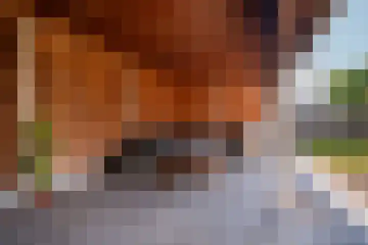 Troffel 26 Dronten thumbnail 36