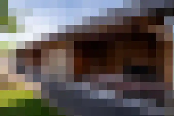 Troffel 26 Dronten thumbnail 37