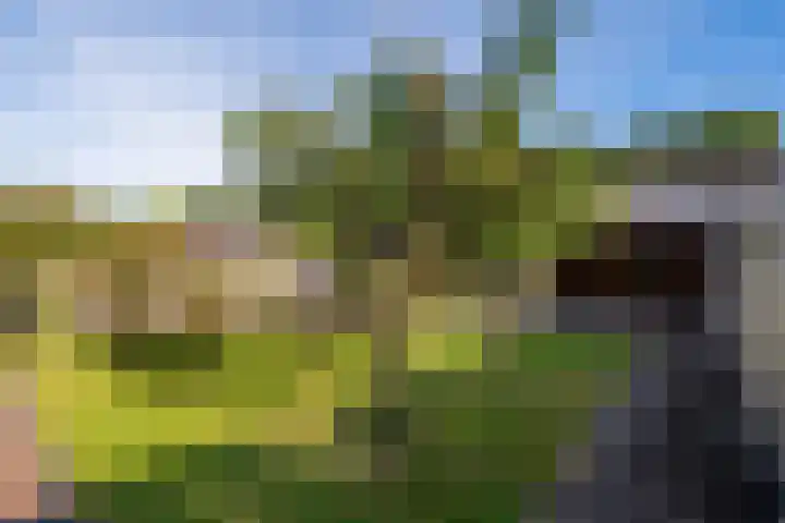 Troffel 26 Dronten thumbnail 38