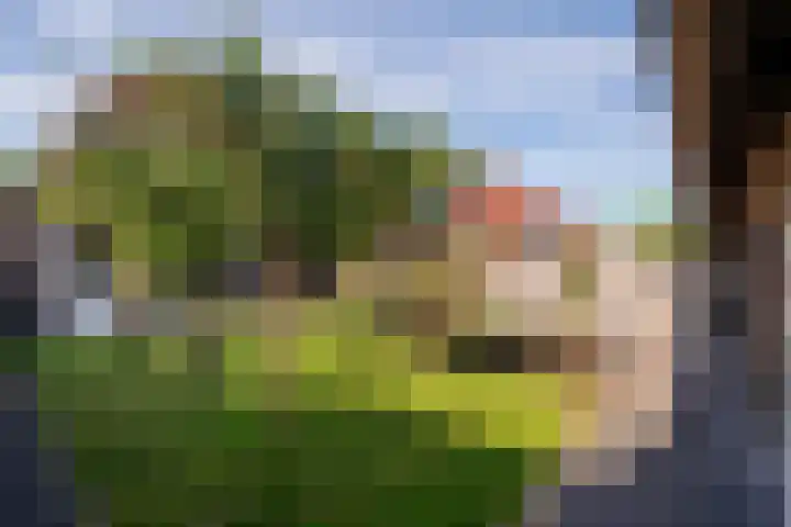 Troffel 26 Dronten thumbnail 39