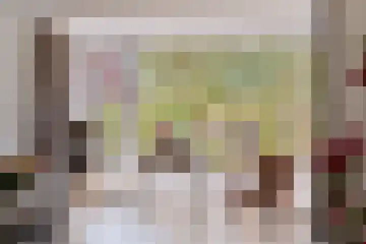 Troffel 26 Dronten thumbnail 4