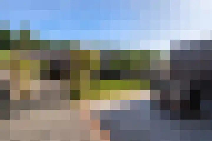 Troffel 26 Dronten thumbnail 40