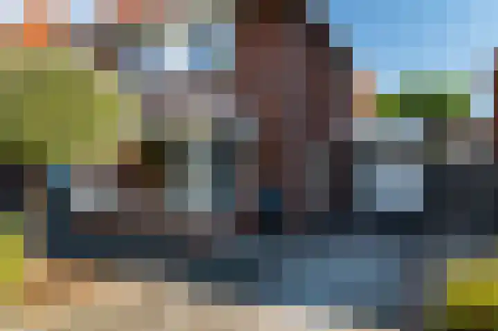 Troffel 26 Dronten thumbnail 7