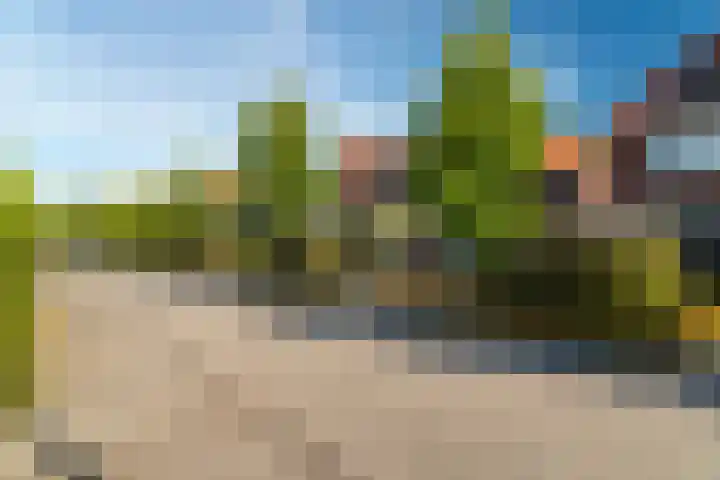 Troffel 26 Dronten thumbnail 8