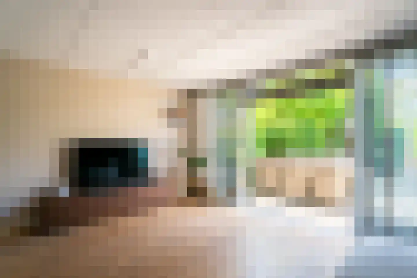Troffel 3 Bovenkarspel thumbnail 10