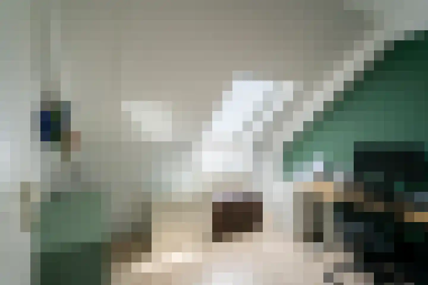 Troffel 3 Bovenkarspel thumbnail 18