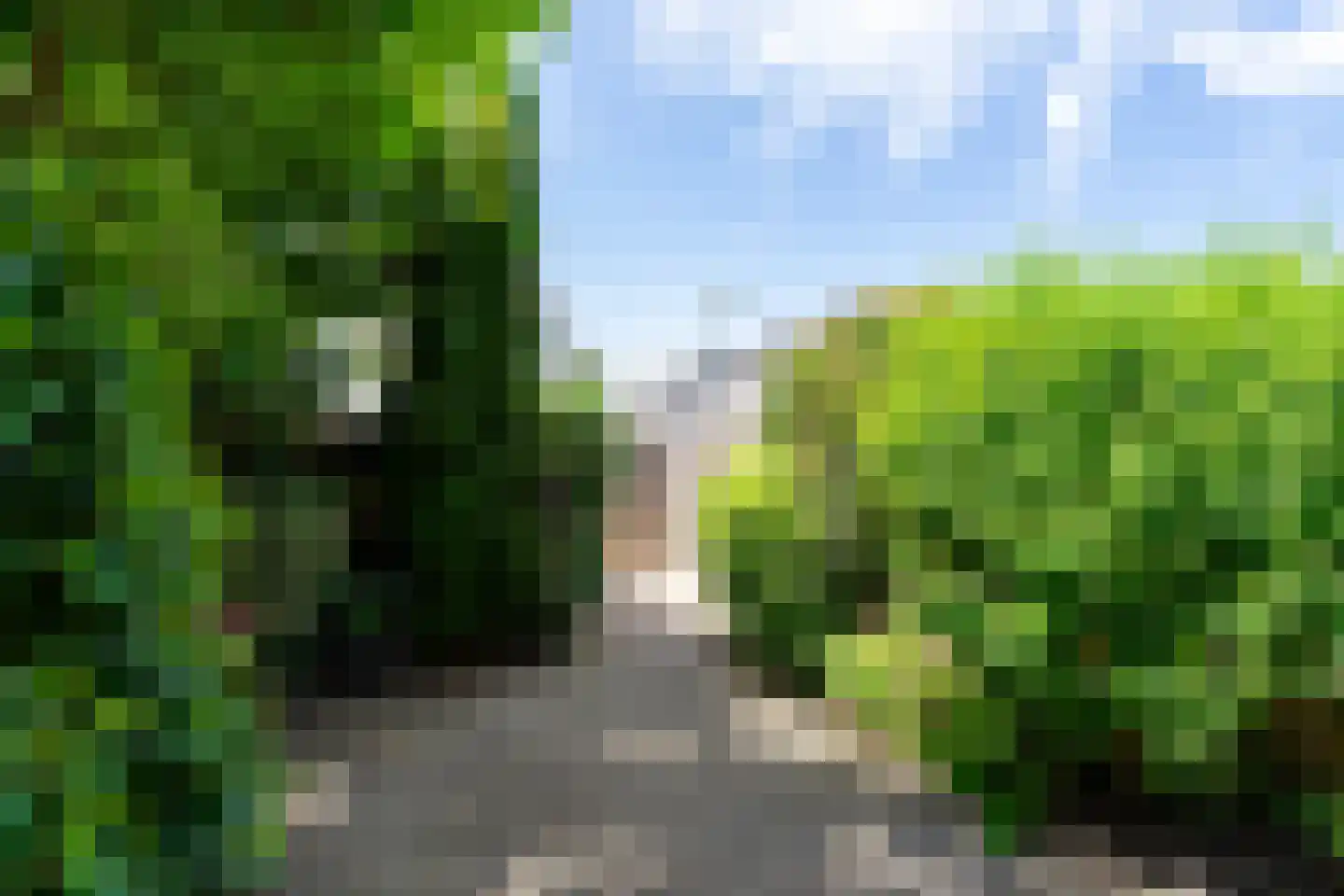 Troffel 3 Bovenkarspel thumbnail 26