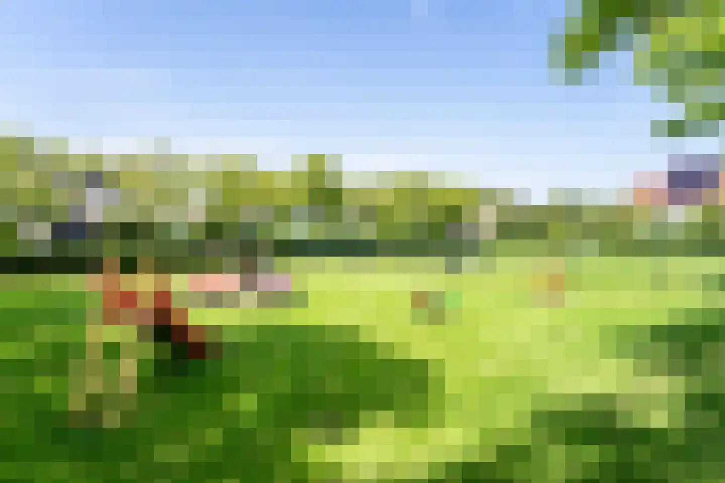 Troffel 3 Bovenkarspel thumbnail 28