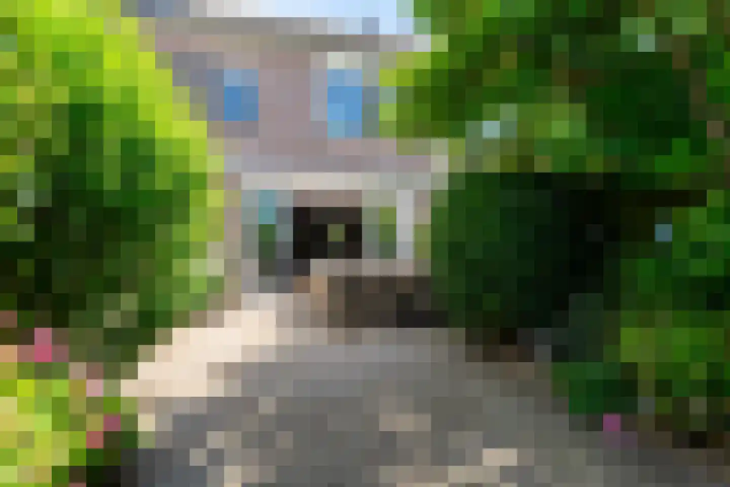 Troffel 3 Bovenkarspel thumbnail 4