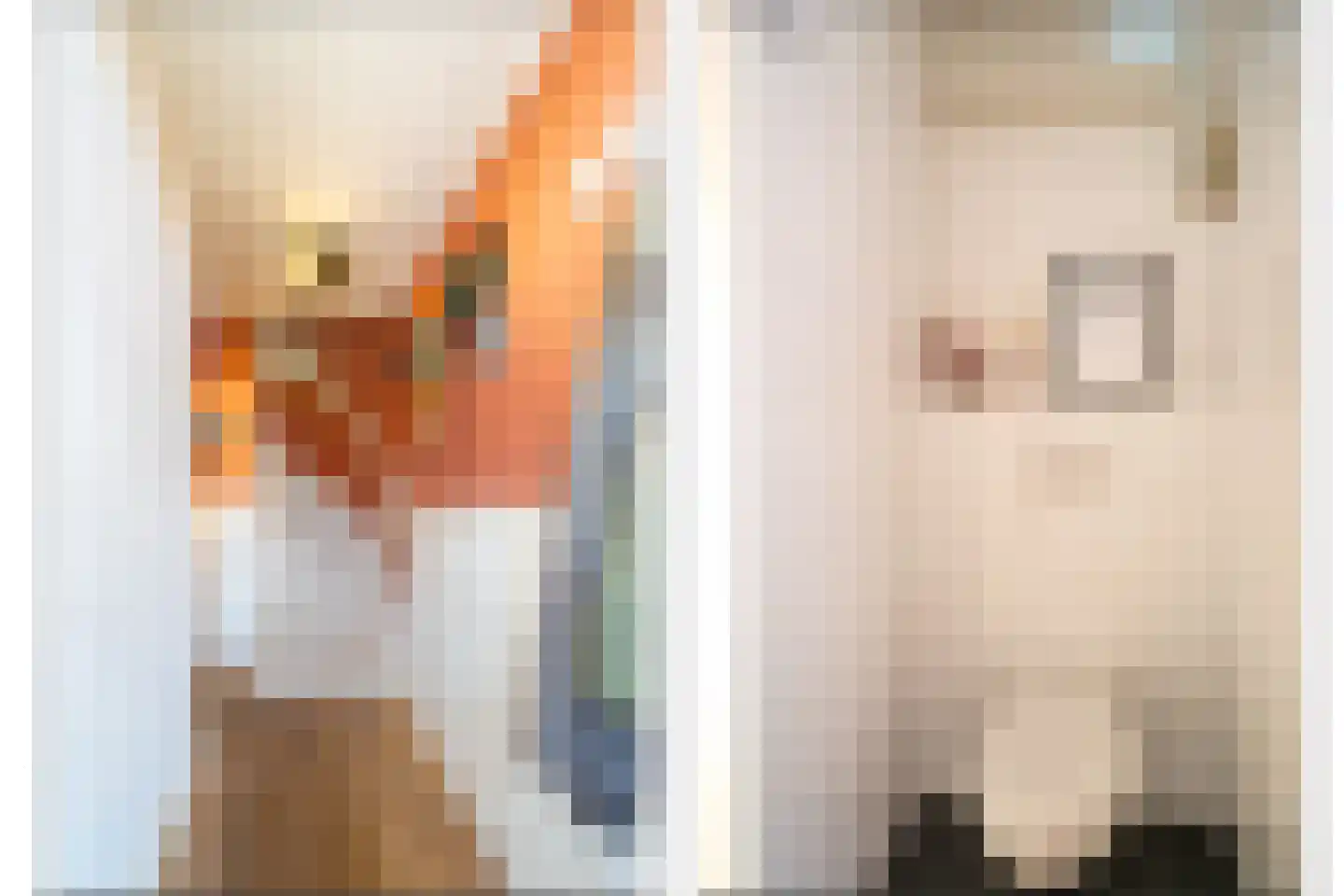 Troffel 3 Bovenkarspel thumbnail 6