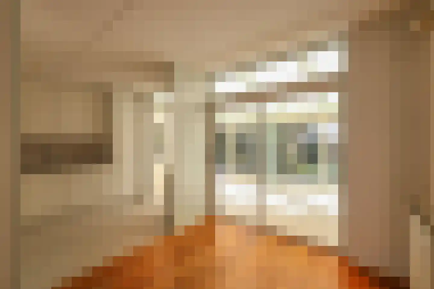 Trogven 1 Warmenhuizen thumbnail 10