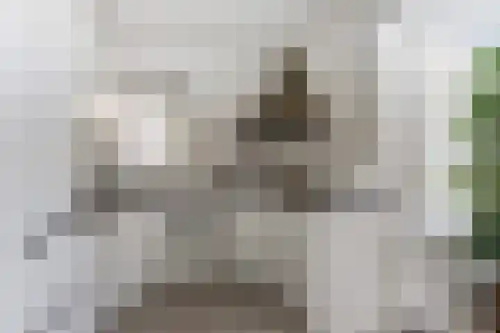 Trogven 18 Warmenhuizen thumbnail 16