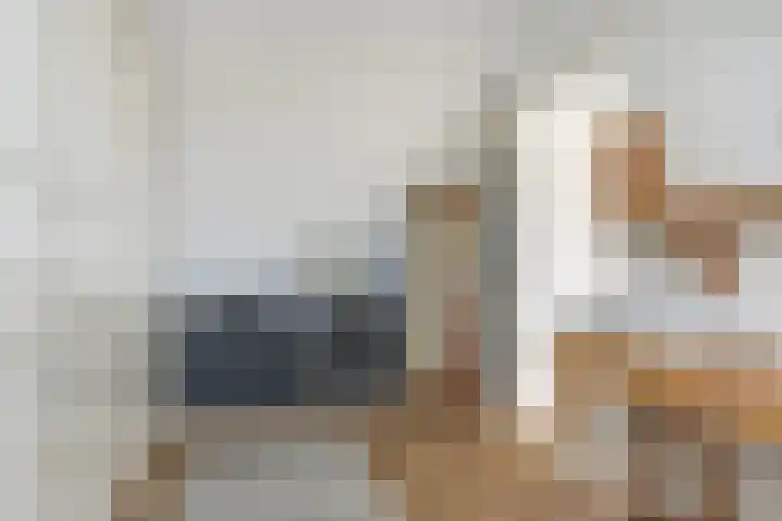Trogven 18 Warmenhuizen thumbnail 25