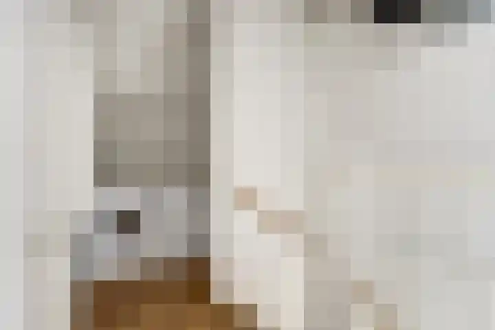 Trogven 18 Warmenhuizen thumbnail 30