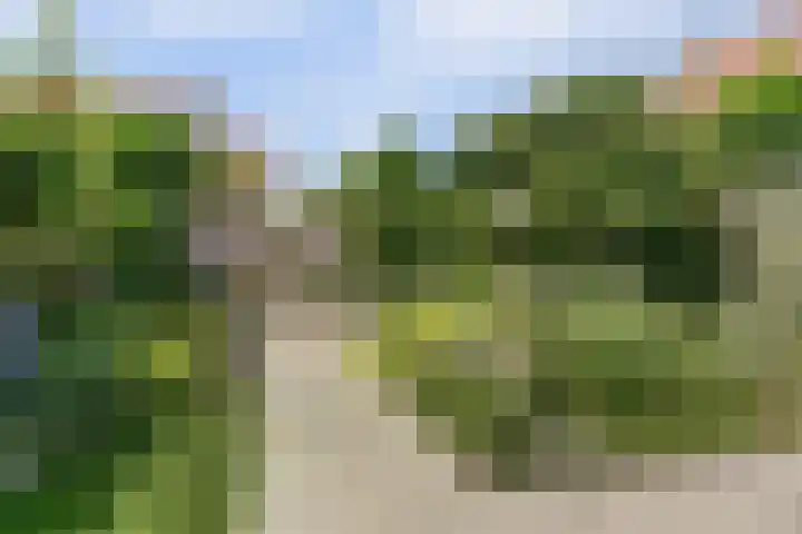 Trogven 18 Warmenhuizen thumbnail 39
