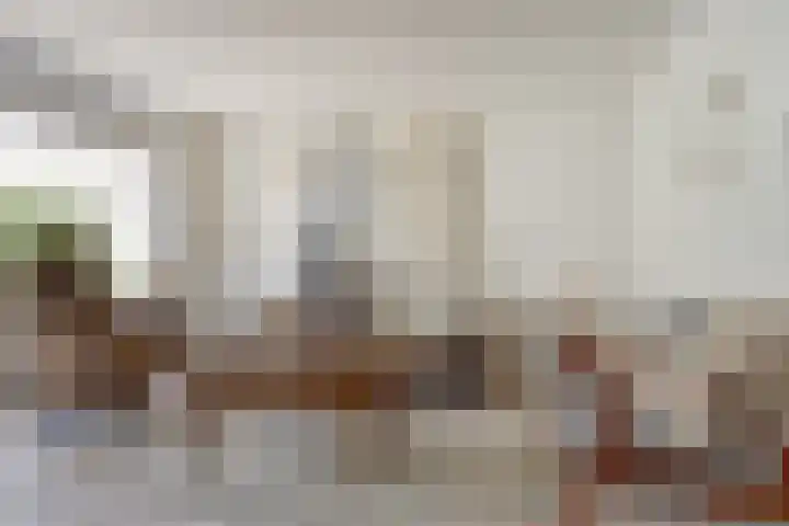 Trogven 18 Warmenhuizen thumbnail 8