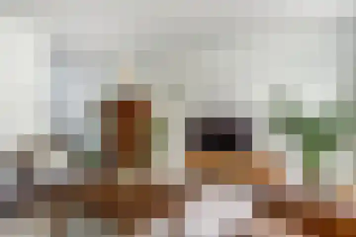 Trogven 18 Warmenhuizen thumbnail 9