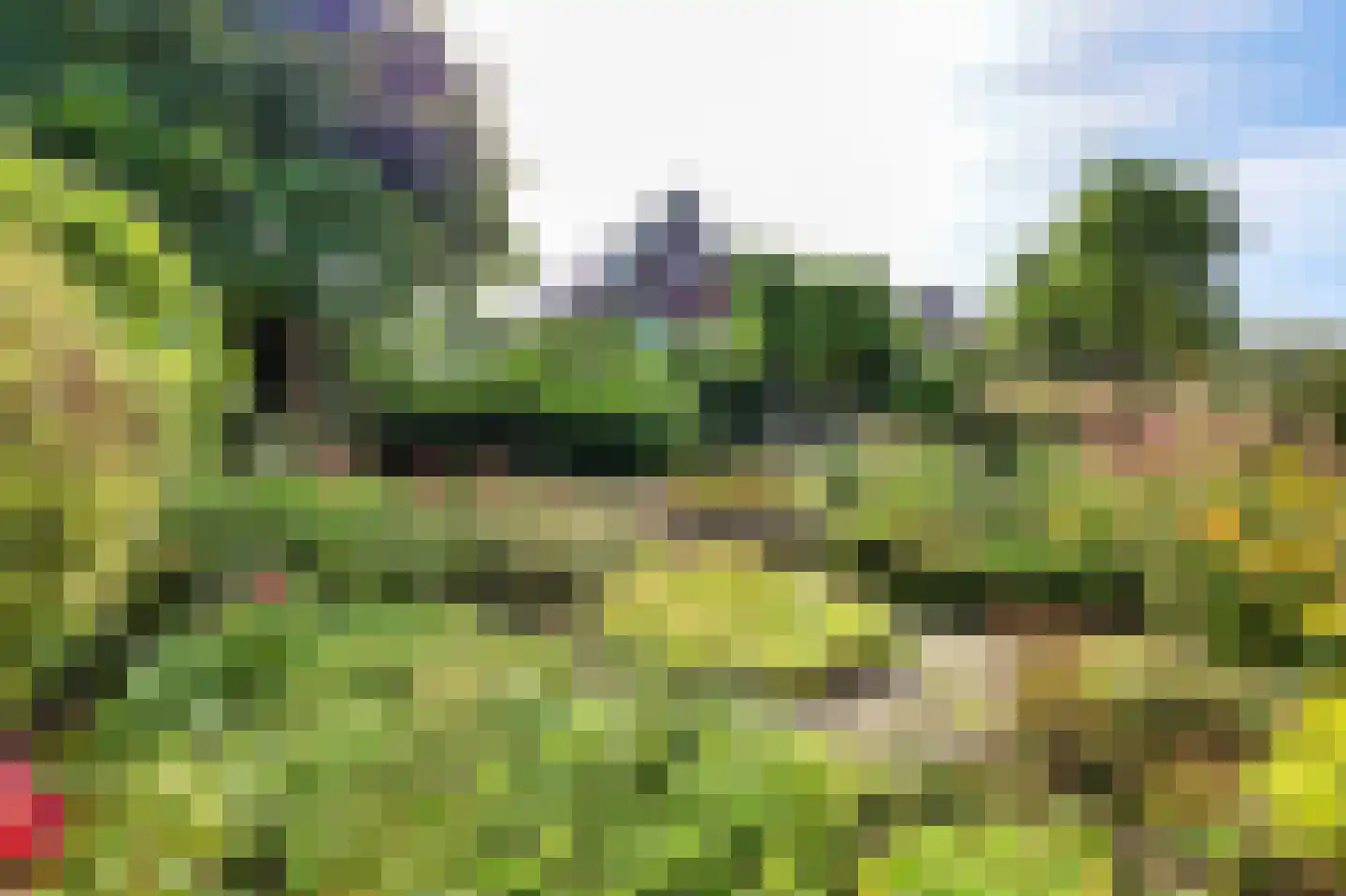 Trogven 3 Warmenhuizen thumbnail 15