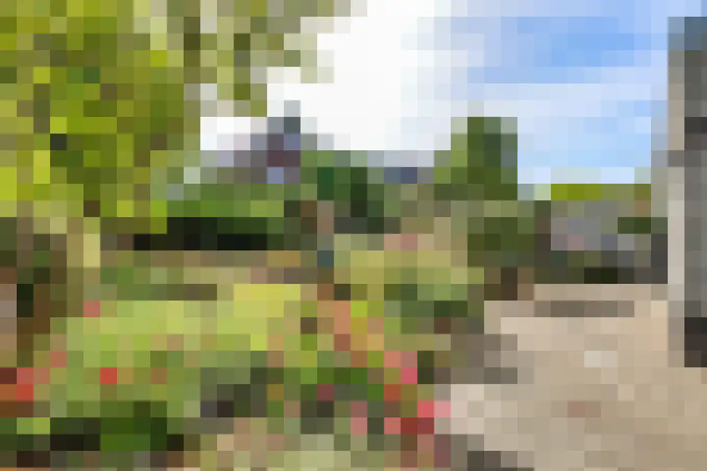 Trogven 3 Warmenhuizen thumbnail 18
