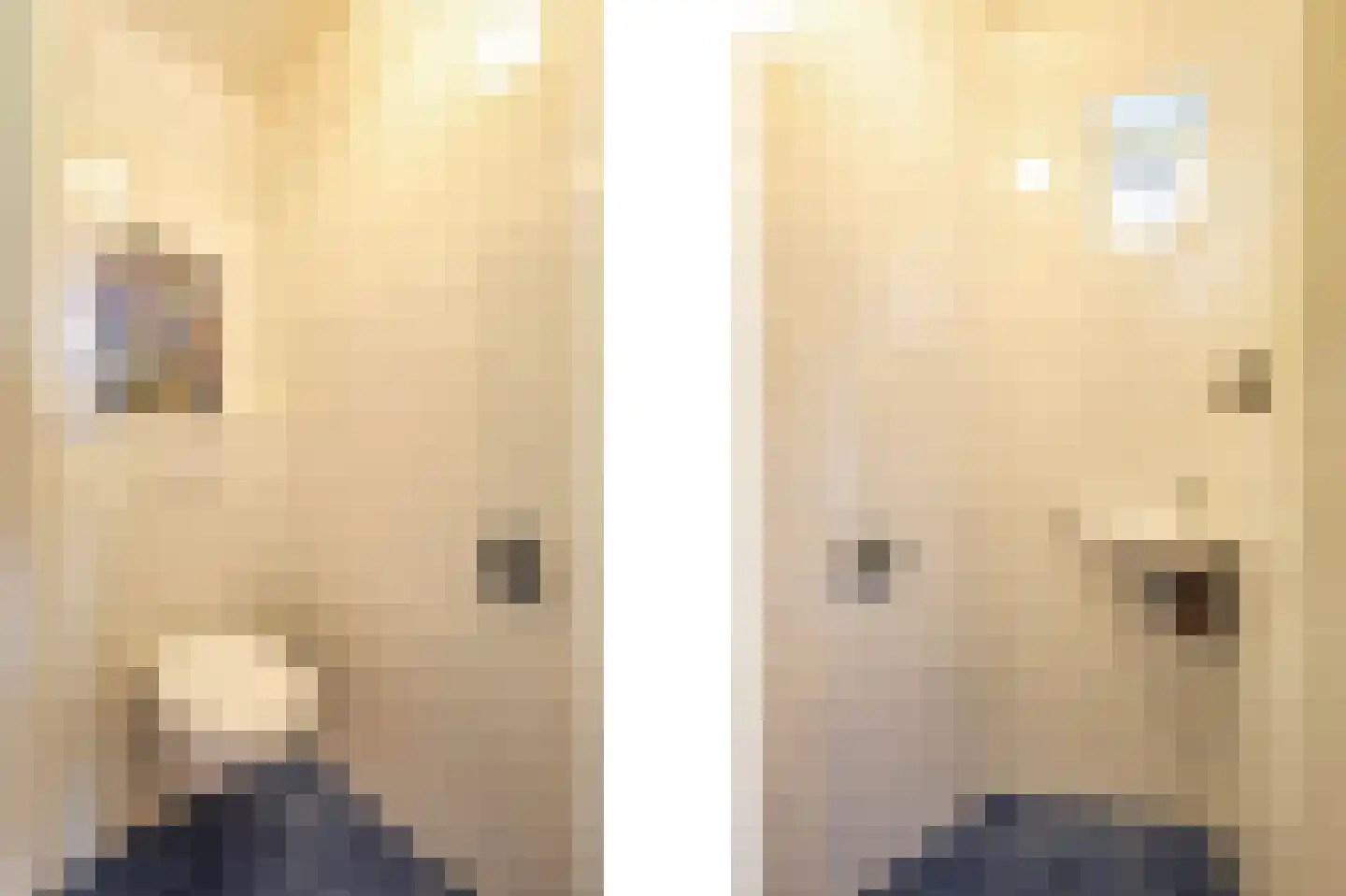 Trogven 3 Warmenhuizen thumbnail 25