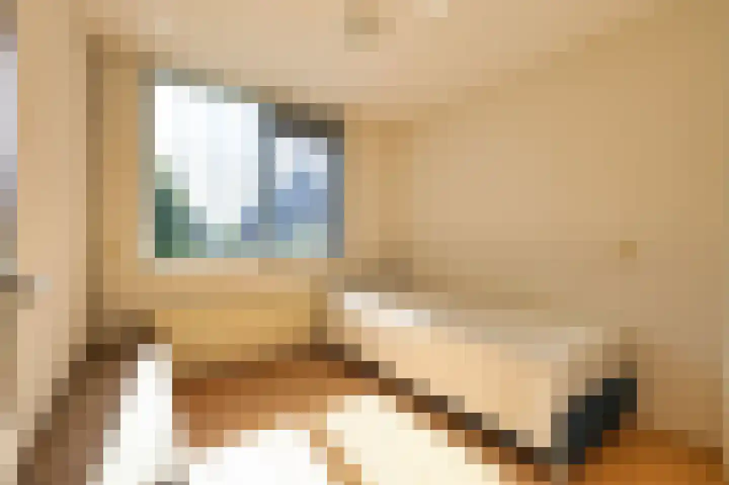 Trogven 3 Warmenhuizen thumbnail 29