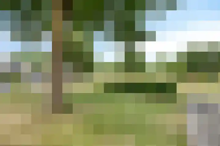 Troikastraat 18 Almere thumbnail 64