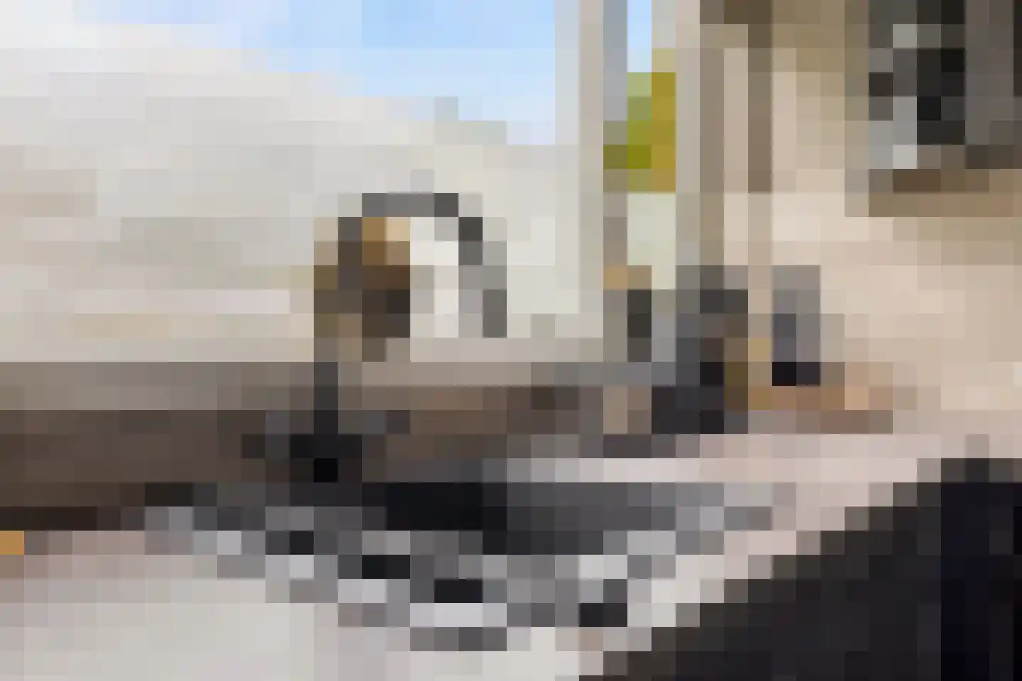 Troikastraat 31 Almere thumbnail 31