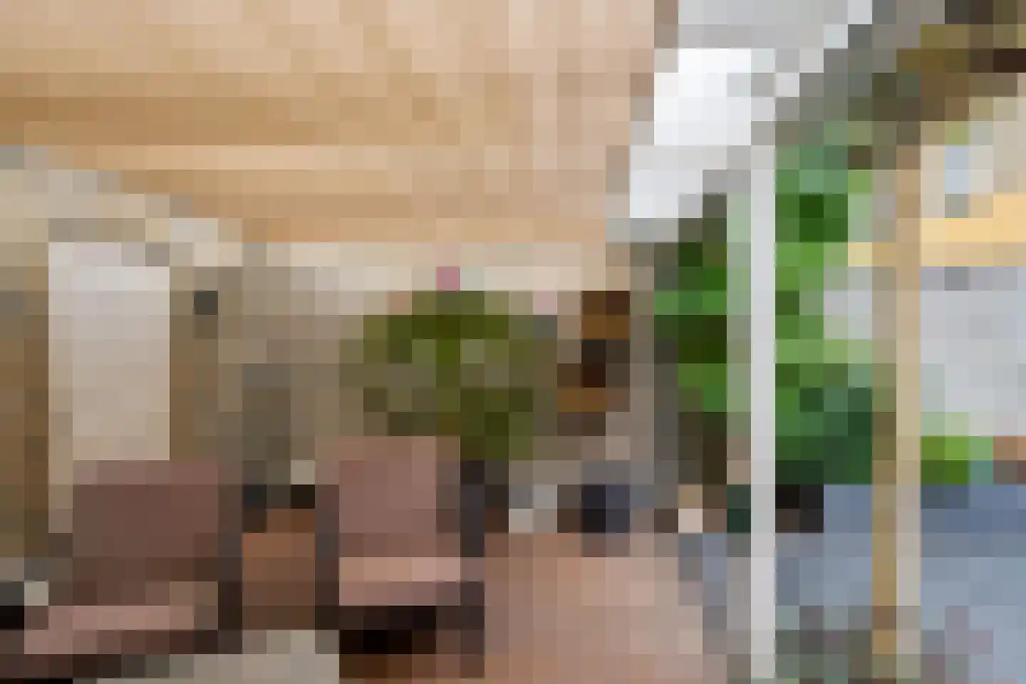 Troikastraat 31 Almere thumbnail 54