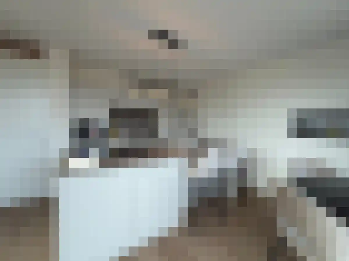 Trolliuslaan 46 Waalre thumbnail 4