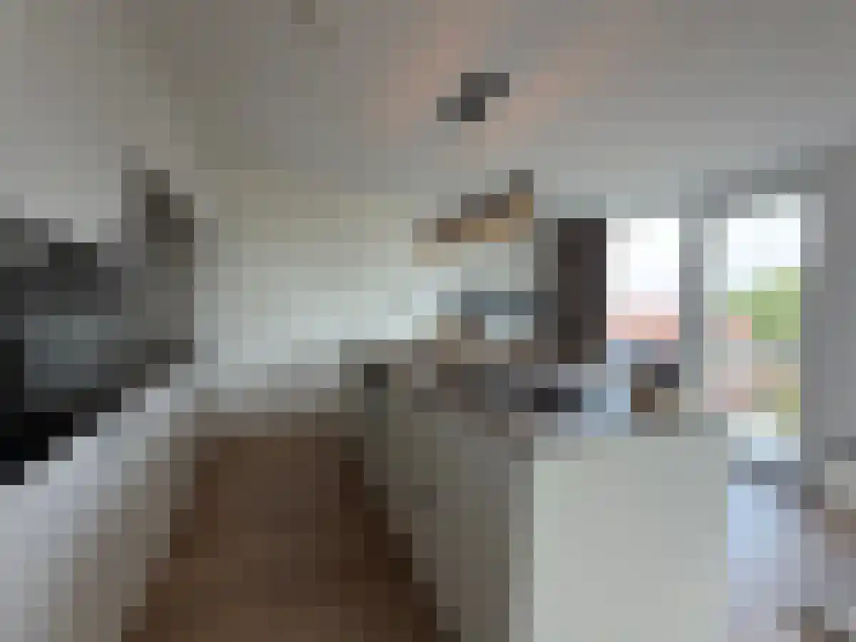 Trolliuslaan 46 Waalre thumbnail 6