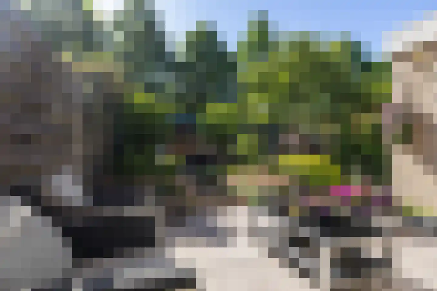 Trombonedreef 14 Harderwijk thumbnail 24