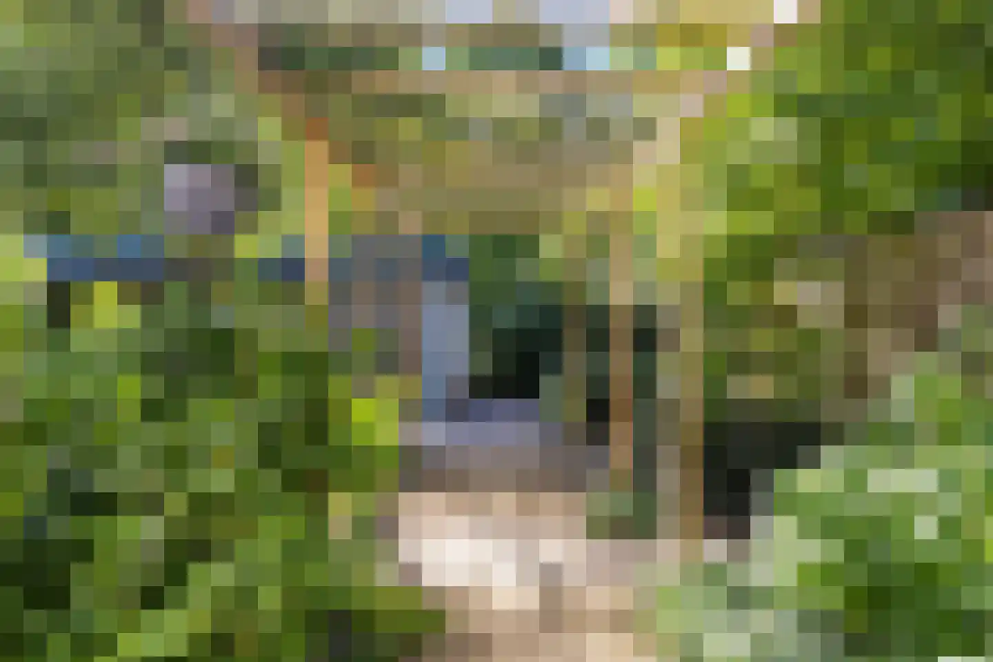 Trombonedreef 14 Harderwijk thumbnail 27